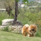 ZEUS dando un paseo por la montaña.